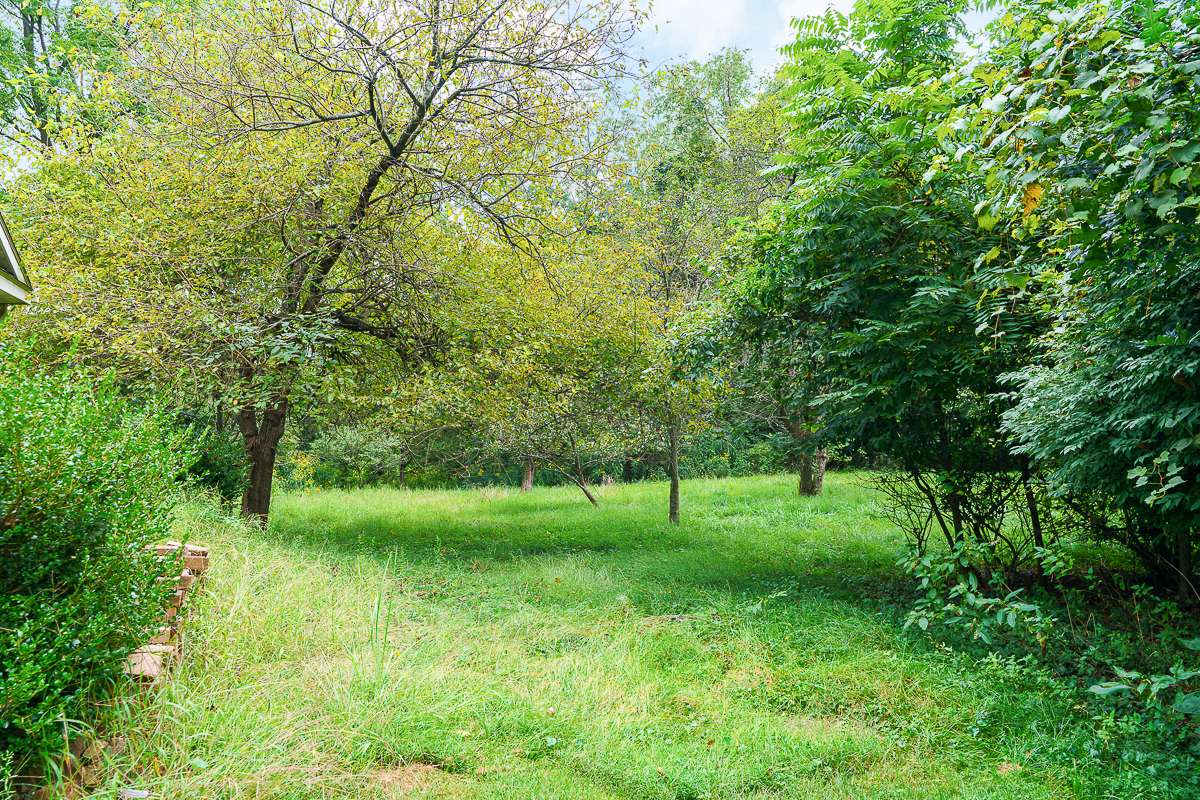 2865 Leitnaker Rd-21