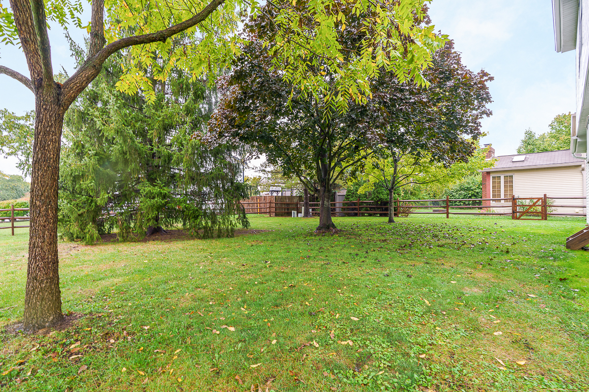 2967 Castlebrook Ave-5