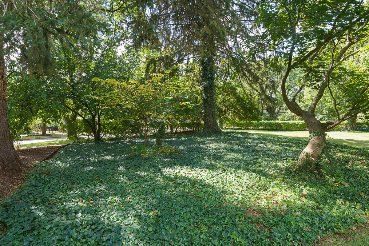 436 s Parkview Ave-17