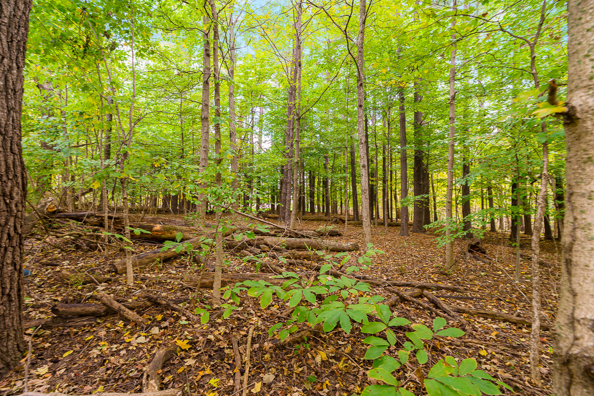 6061 Highland Hills Dr-10