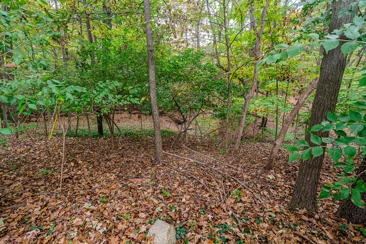 3965 Wynding Dr edit-22